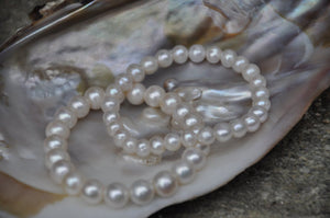 White Pearl Stretch Bracelet